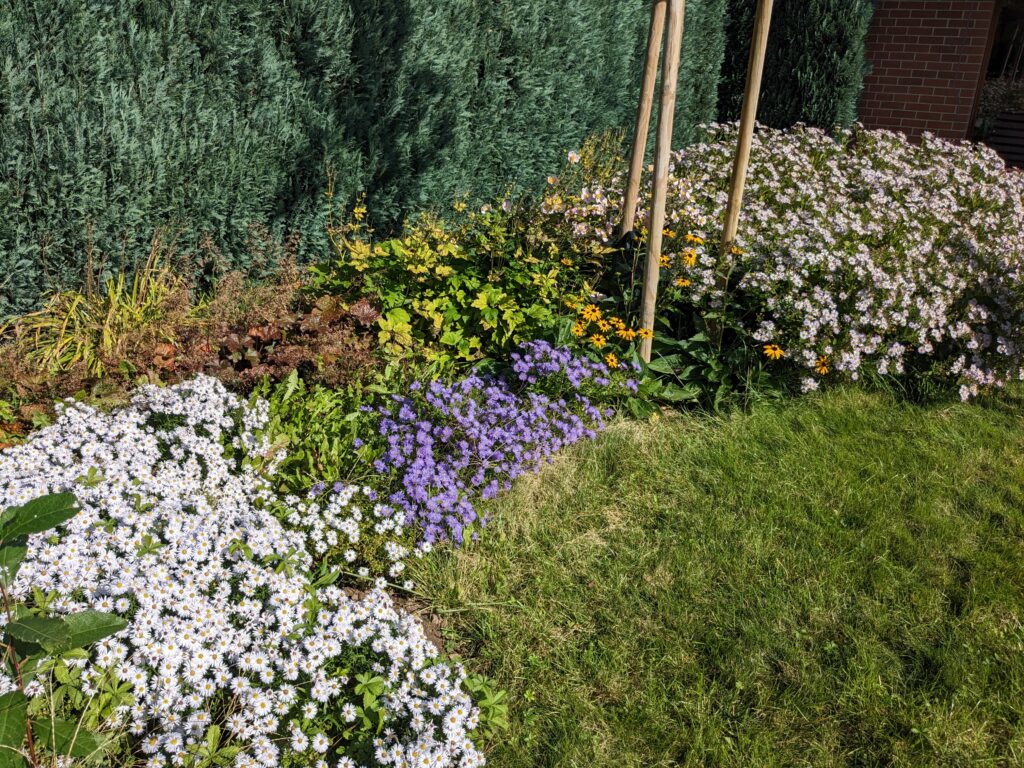 Nová tvář zahrady u lesa Nová tvář zahrady u lesa